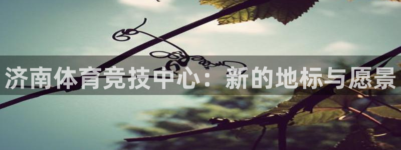 意昂3平台注册：济南体育竞技中心：新的地标与愿景