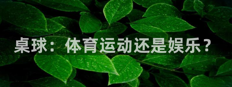 意昂2平台主管：桌球：体育运动还是娱乐？