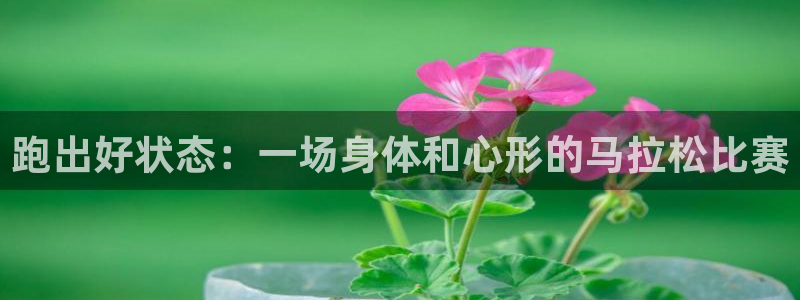 意昂24代理：跑出好状态：一场身体和心形的马拉松比赛