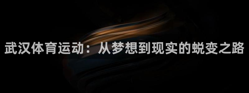 北京意昂科技有限公司：武汉体育运动：从梦想到现实的蜕变之路