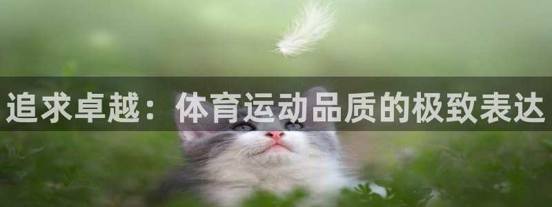 意昂体育2：追求卓越：体育运动品质的极致表达