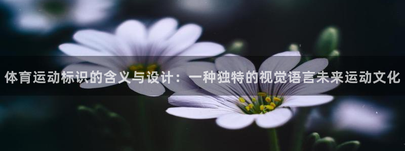 意昂主管：体育运动标识的含义与设计：一种独特的视觉语言未来运动文化