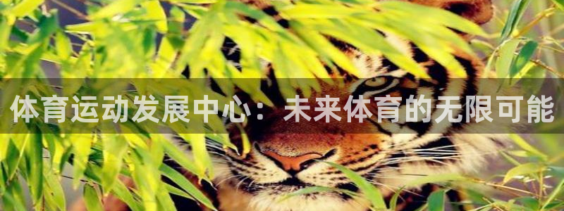 意昂23登录：体育运动发展中心：未来体育的无限可能