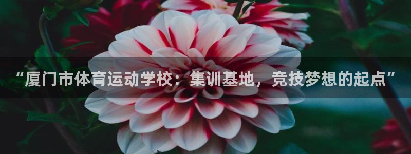 意昂2官网注册：“厦门市体育运动学校：集训基地，竞技梦想的起点”