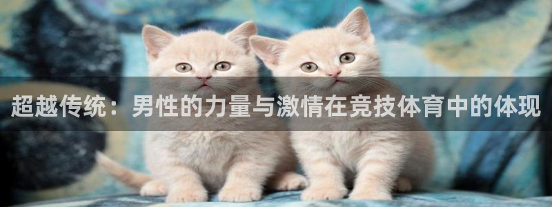 意昂4登录：超越传统：男性的力量与激情在竞技体育中的体现