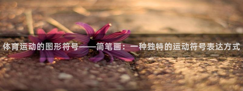 意昂4开户：体育运动的图形符号——简笔画：一种独特的运动符号表达方式