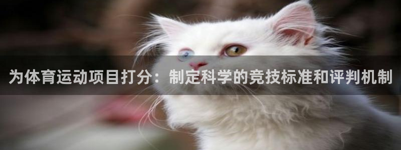 意昂23官网：为体育运动项目打分：制定科学的竞技标准和评判机制