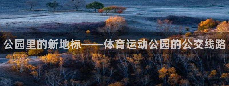 意昂包：公园里的新地标——体育运动公园的公交线路