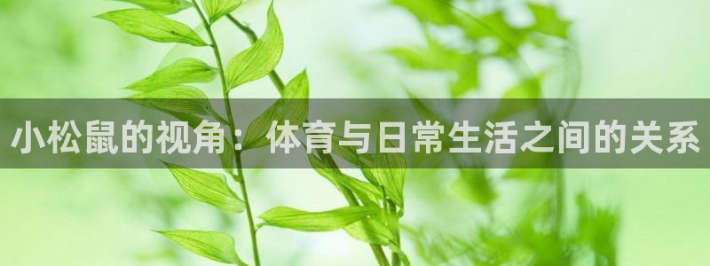 意昂2体育代理申请流程：小松鼠的视角：体育与日常生活之间的关系