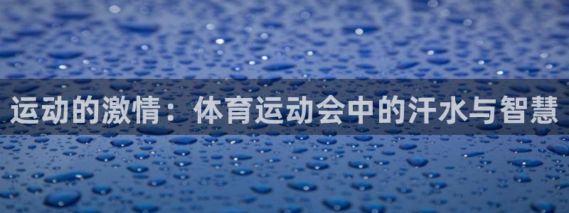 意昂23注册：运动的激情：体育运动会中的汗水与智慧
