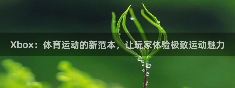 意昂22平台：Xbox：体育运动的新范本，让玩家体验极致运动魅力
