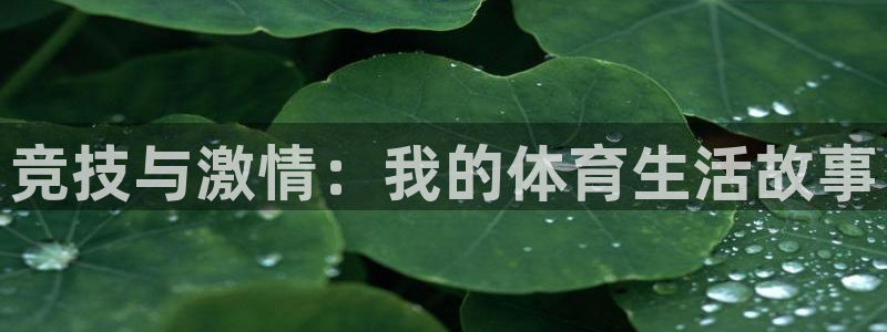 意昂4平台：竞技与激情：我的体育生活故事