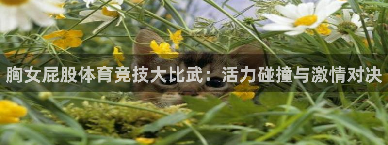 意昂23登录：胸女屁股体育竞技大比武：活力碰撞与激情对决