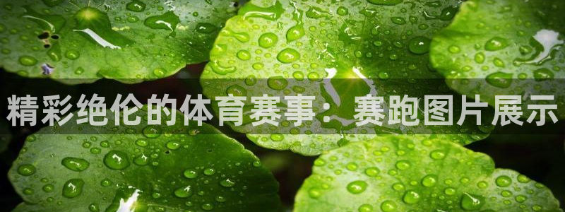 意昂注册：精彩绝伦的体育赛事：赛跑图片展示