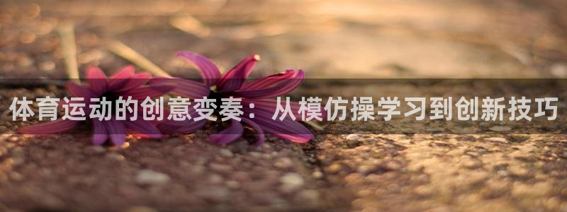 意昂4开户：体育运动的创意变奏：从模仿操学习到创新技巧