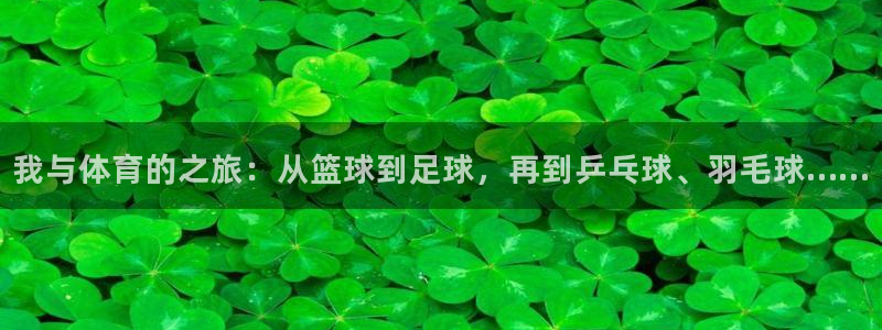 意昂2体育论坛：我与体育的之旅：从篮球到足球，再到乒乓球、羽毛球……