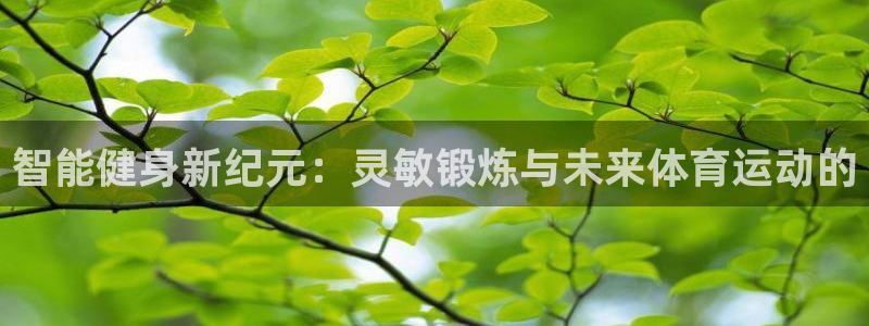 意昂2体育用品：智能健身新纪元：灵敏锻炼与未来体育运动的