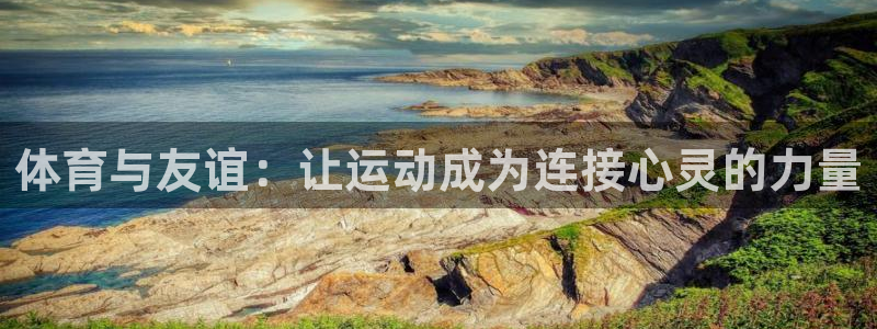 意昂5平台：体育与友谊：让运动成为连接心灵的力量