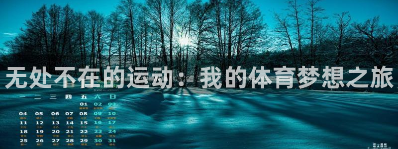 意昂2股份：无处不在的运动：我的体育梦想之旅