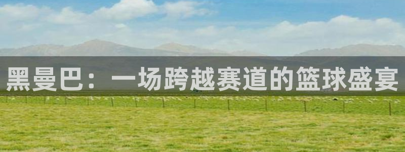意昂2平台招商：黑曼巴：一场跨越赛道的篮球盛宴